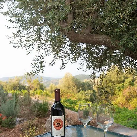 Οίνου Γη Ιθάκη - Winelandithaca Perachori Exterior photo