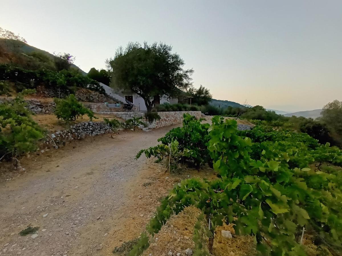 οίνου γη ιθάκη - Winelandithaca Prázdninový dům