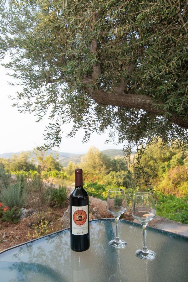 Prázdninový dům οίνου γη ιθάκη - Winelandithaca *
